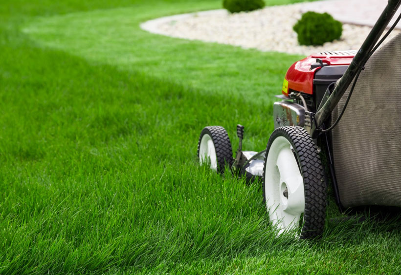 How to Start a Lawn Care Business In Florida