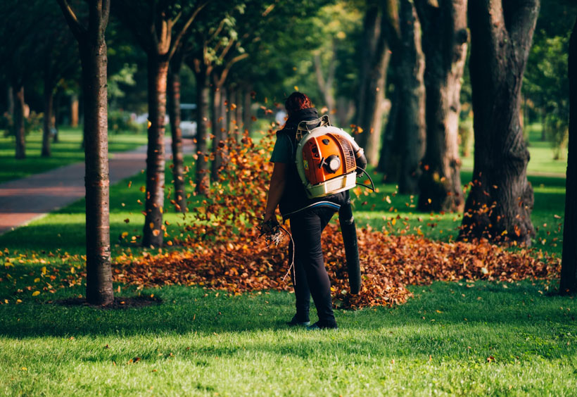 How to Start a Lawn Care Business In Georgia