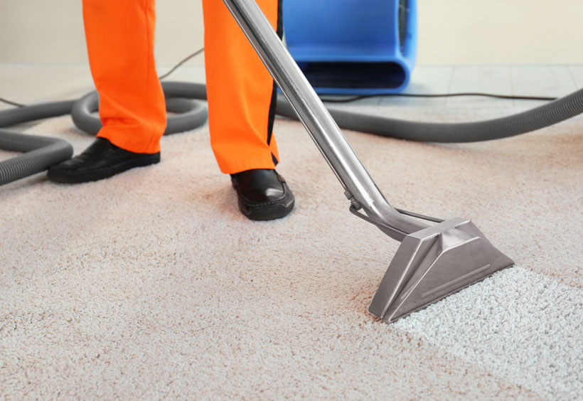 How to Start a Carpet Cleaning Business